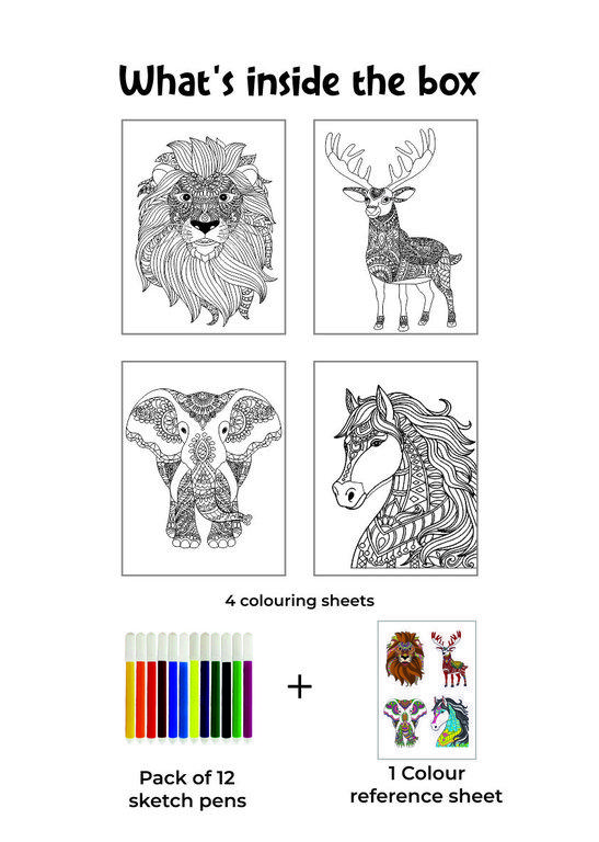 Doodle Colouring Kits | Animals & Birds
